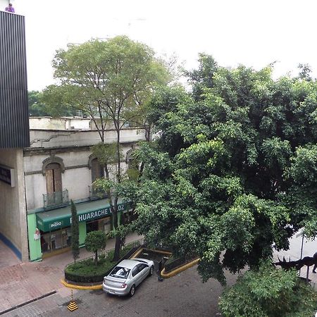 Hostel 399 Conejos Y Yo México DF Exterior foto