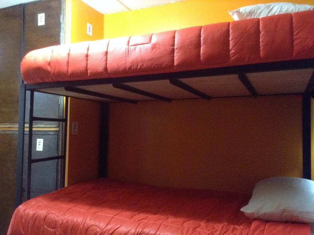 Hostel 399 Conejos Y Yo México DF Habitación foto