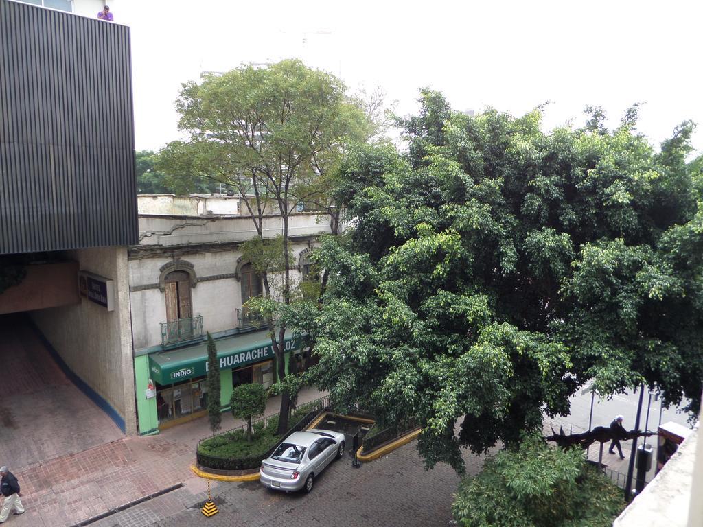 Hostel 399 Conejos Y Yo México DF Exterior foto